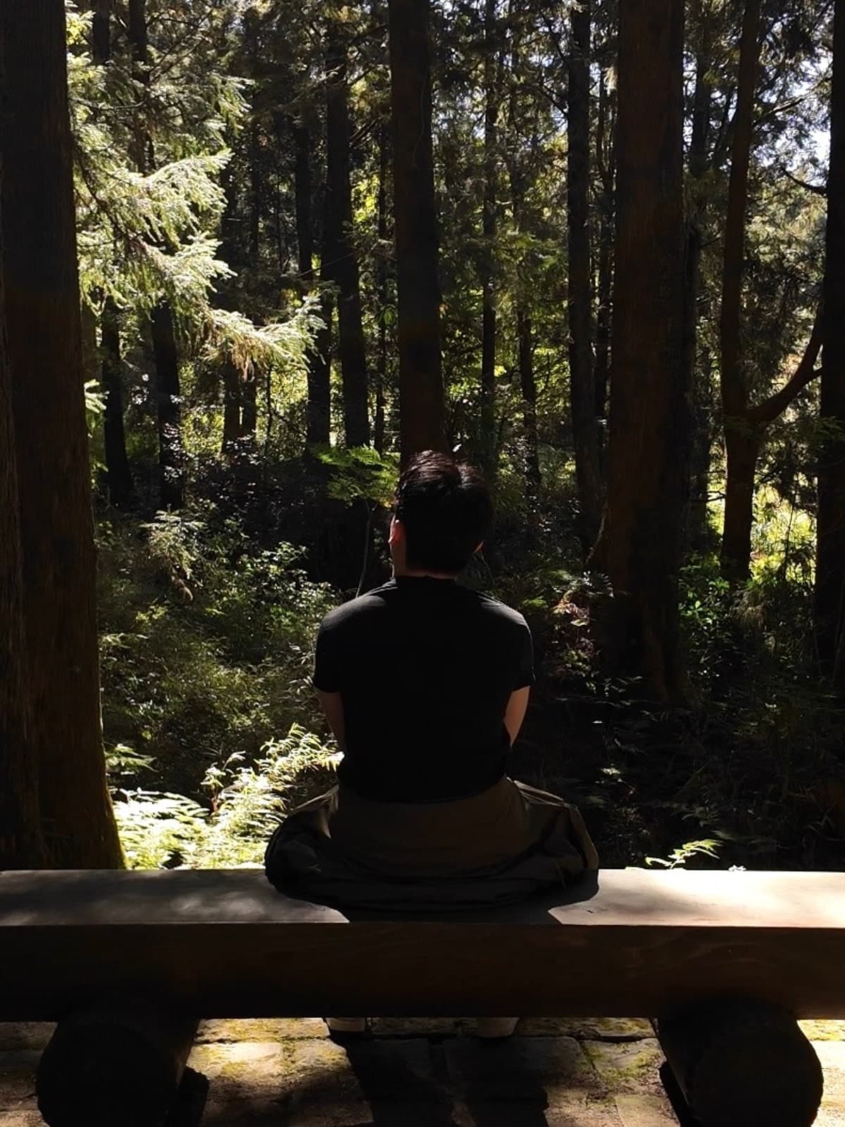 Noah, seated on a forest bench